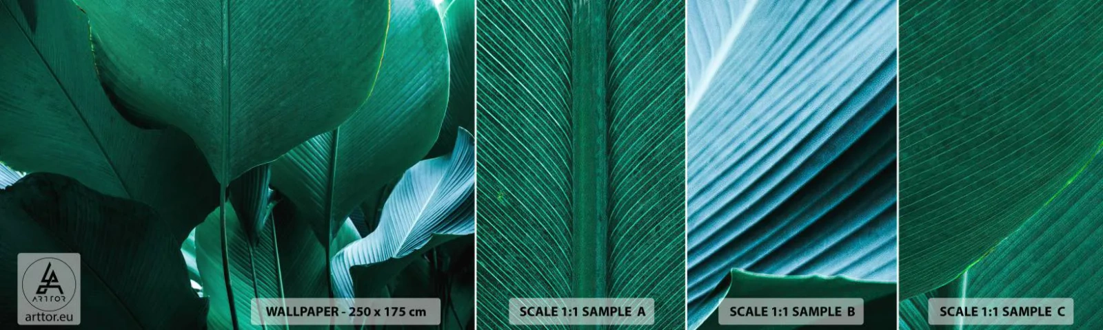 Fototapetenmuster Standard Eco - Dem Licht zugewandt - Bananenblatt, Bananenbaum, Anlage - 100x30 cm