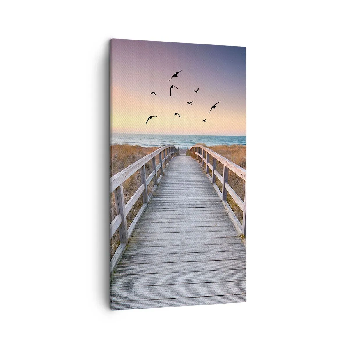 Bild auf Leinwand - Leinwandbild - Der Raum für Auffliegen - 45x80 cm