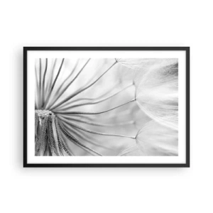 Poster in einem schwarzem Rahmen - Zarte Pusteblumen in Schwarz-Weiß-Tönen - 70x50cm - Löwenzahn, Drachen - Moderne Wanddekoration für Wohnzimmer und Schlafzimmer ARTTOR