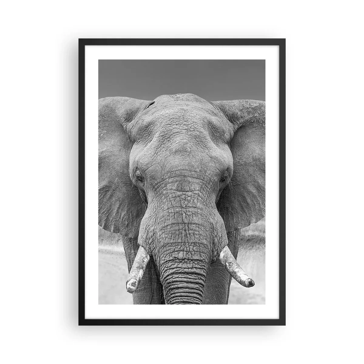 Poster in einem schwarzem Rahmen - Elefant in der Schwarz-Weiß-Kunstfotografie - 50x70cm - Willkommen in meiner Welt - Moderne Wanddekoration für Wohnzimmer und Schlafzimmer ARTTOR