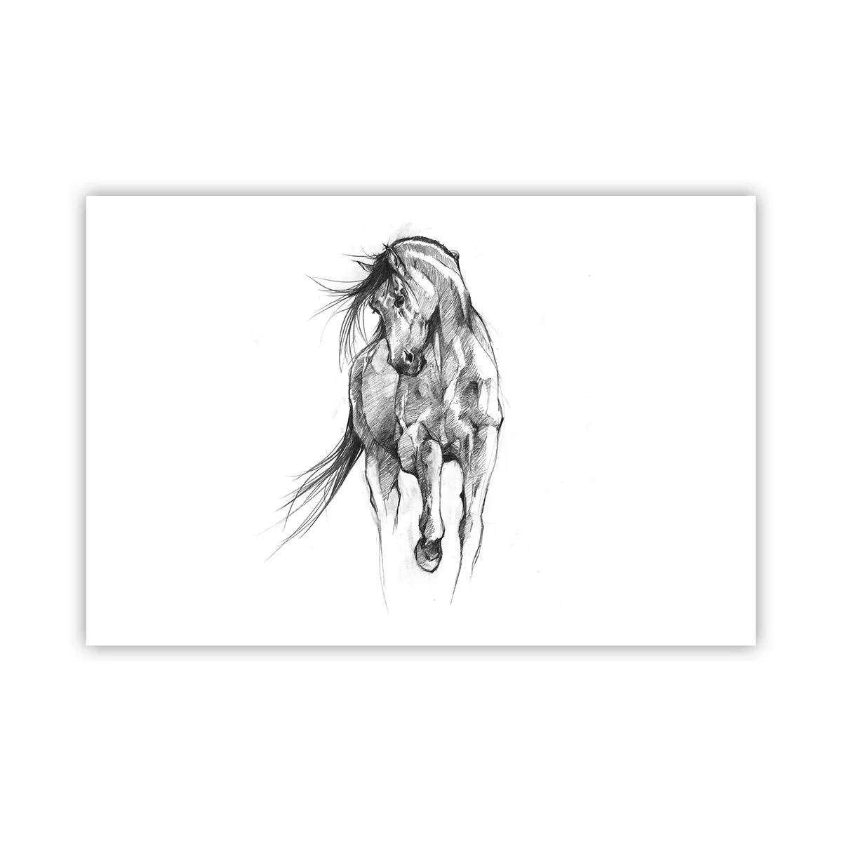 Poster - Im anmutigen Trab - 91x61 cm