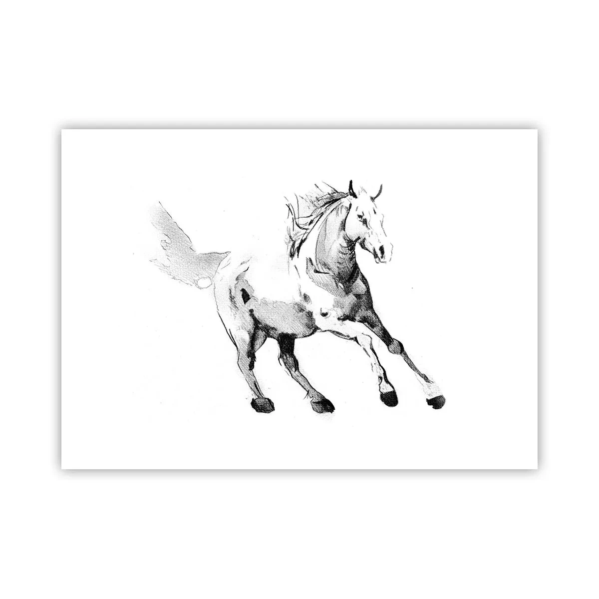 Poster - Ungezähmte Seele - 70x50 cm