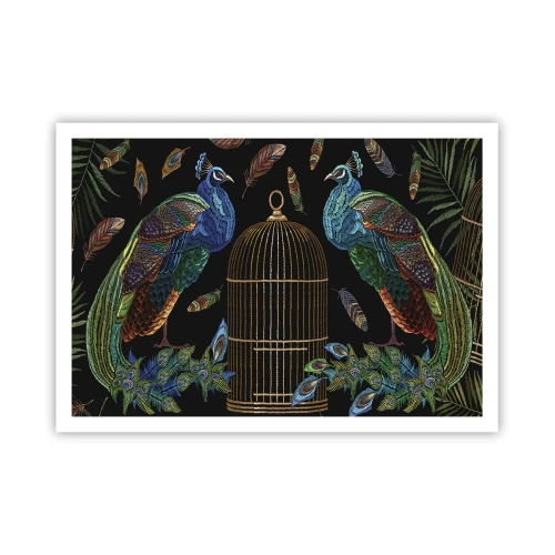 Poster - Pfauen neben einem goldenen Käfig auf schwarzem Hintergrund - 100x70cm - In königlichen Gewändern - Moderne Wanddekoration für Wohnzimmer und Schlafzimmer ARTTOR