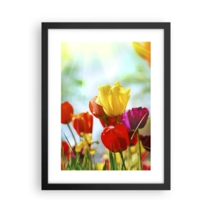 Poster in einem schwarzem Rahmen - Alle Farben der Sonne - 30x40 cm