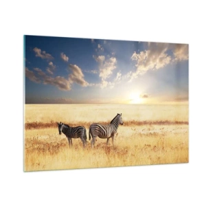 Glasbild - Bild auf glas - Zwei Zebras in der Savanne bei Sonnenuntergang - 100x70cm - Geh weg, sei nicht in Frieden - Moderne Wanddekoration für Wohnzimmer und Schlafzimmer ARTTOR