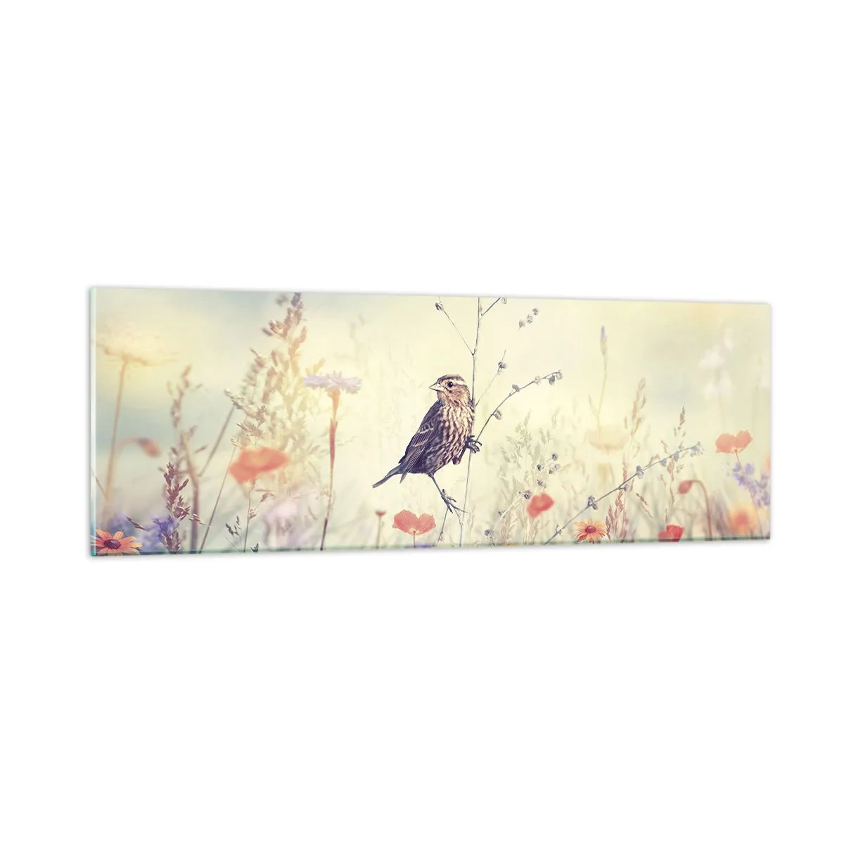 Glasbild - Bild auf glas - Vogelporträt mit einer Wiese im Hintergrund - 90x30 cm