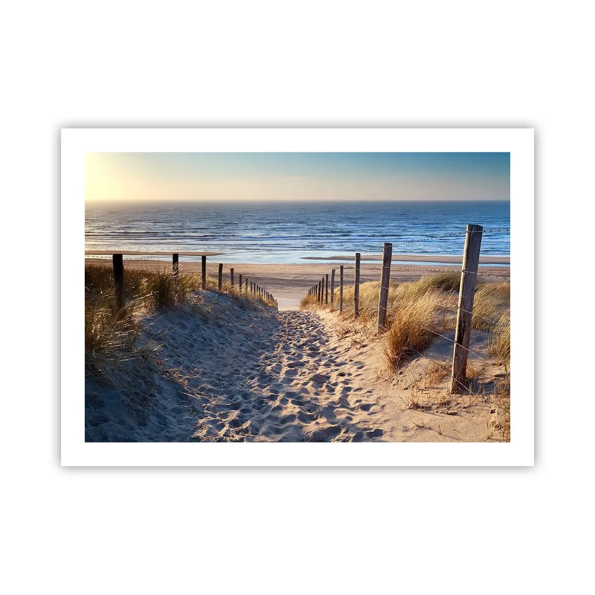 Poster - Das Rauschen des Meeres, der Gesang der Vögel, ein wilder Strand im Gras ... - 70x50 cm