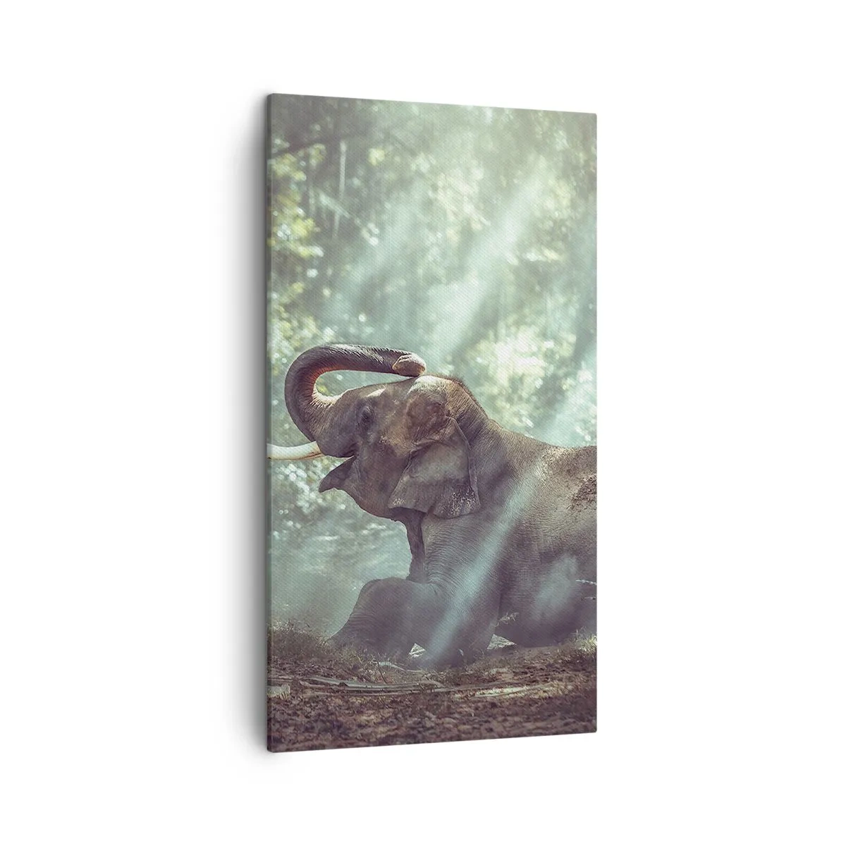 Bild auf Leinwand - Leinwandbild - Und hör dir das an... - 45x80 cm