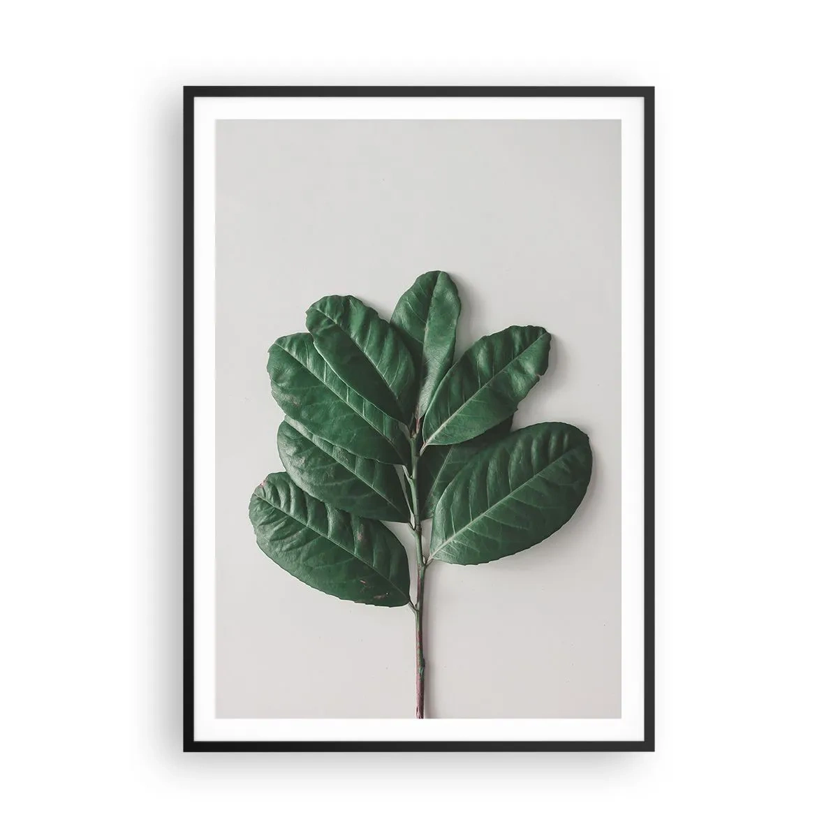 Poster in einem schwarzem Rahmen - Eine Zeichnung purer Natur - 70x100 cm