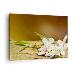 Bild auf Leinwand - Leinwandbild - Weiße Blumen auf einem hölzernen Hintergrund in natürlichem Licht - 70x50cm - Ein unschuldiges Versprechen - Moderne Wanddekoration für Wohnzimmer und Schlafzimmer ARTTOR