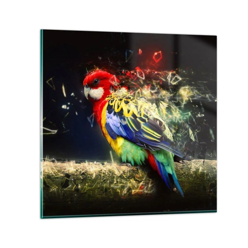 Glasbild - Bild auf glas - Botschafter des Strahlens - 30x30 cm