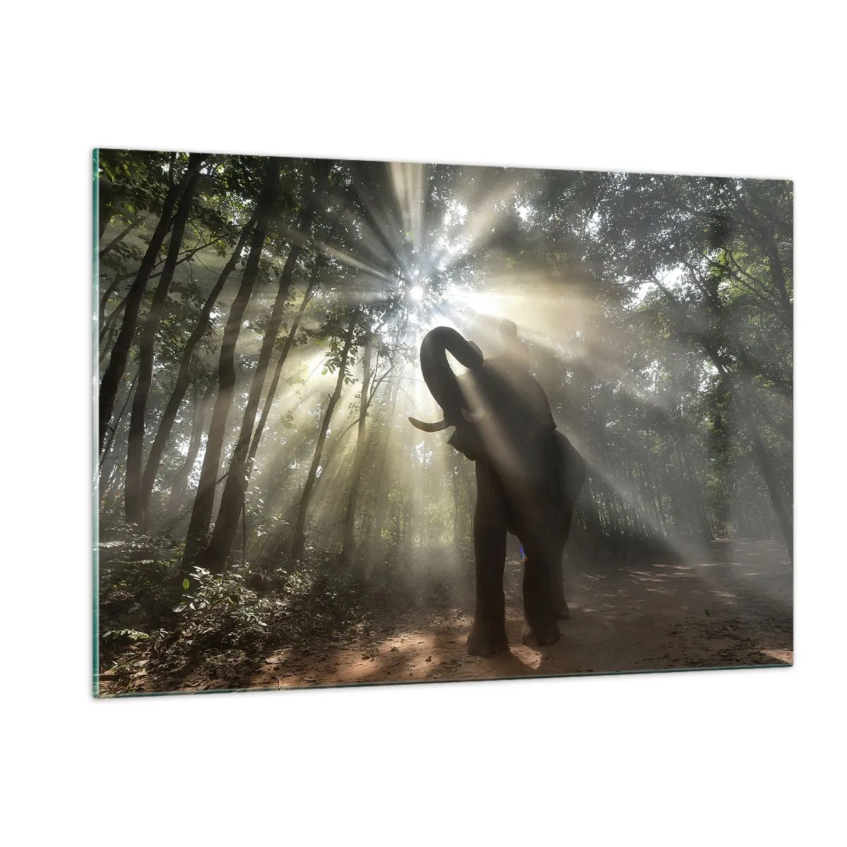 Glasbild - Bild auf glas - Ein Elefant in einem Wald, der vom Sonnenlicht erleuchtet wird - 120x80cm - Unter dem Glücksstern - Moderne Wanddekoration für Wohnzimmer und Schlafzimmer ARTTOR