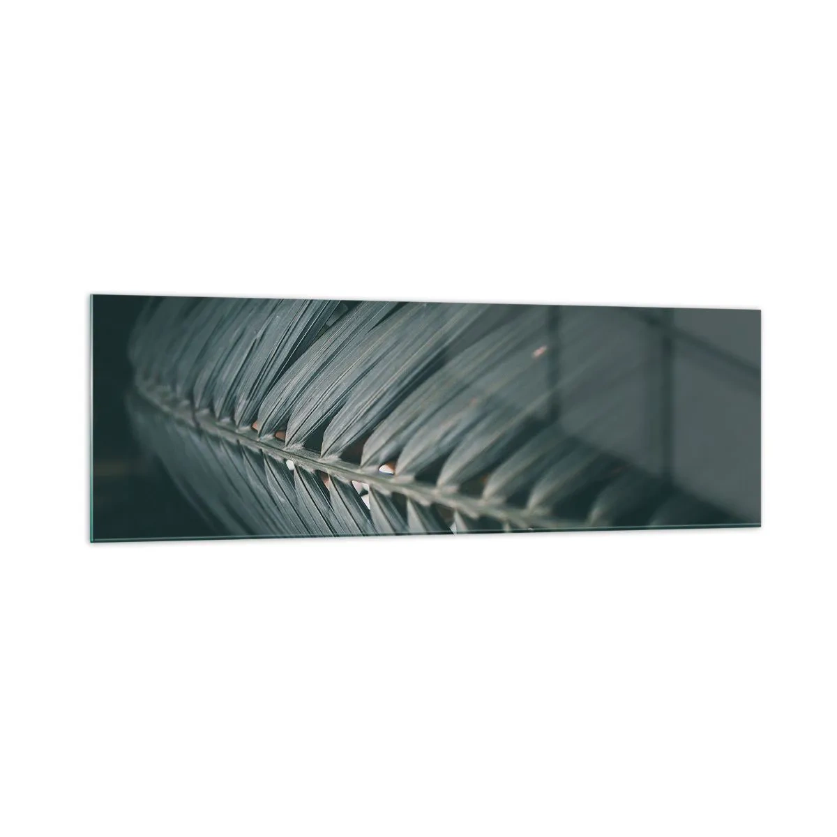 Glasbild - Bild auf glas - Nahaufnahme eines dunkel getönten Palmblattdetails - 160x50cm - Die Präzision der Natur - Moderne Wanddekoration für Wohnzimmer und Schlafzimmer ARTTOR