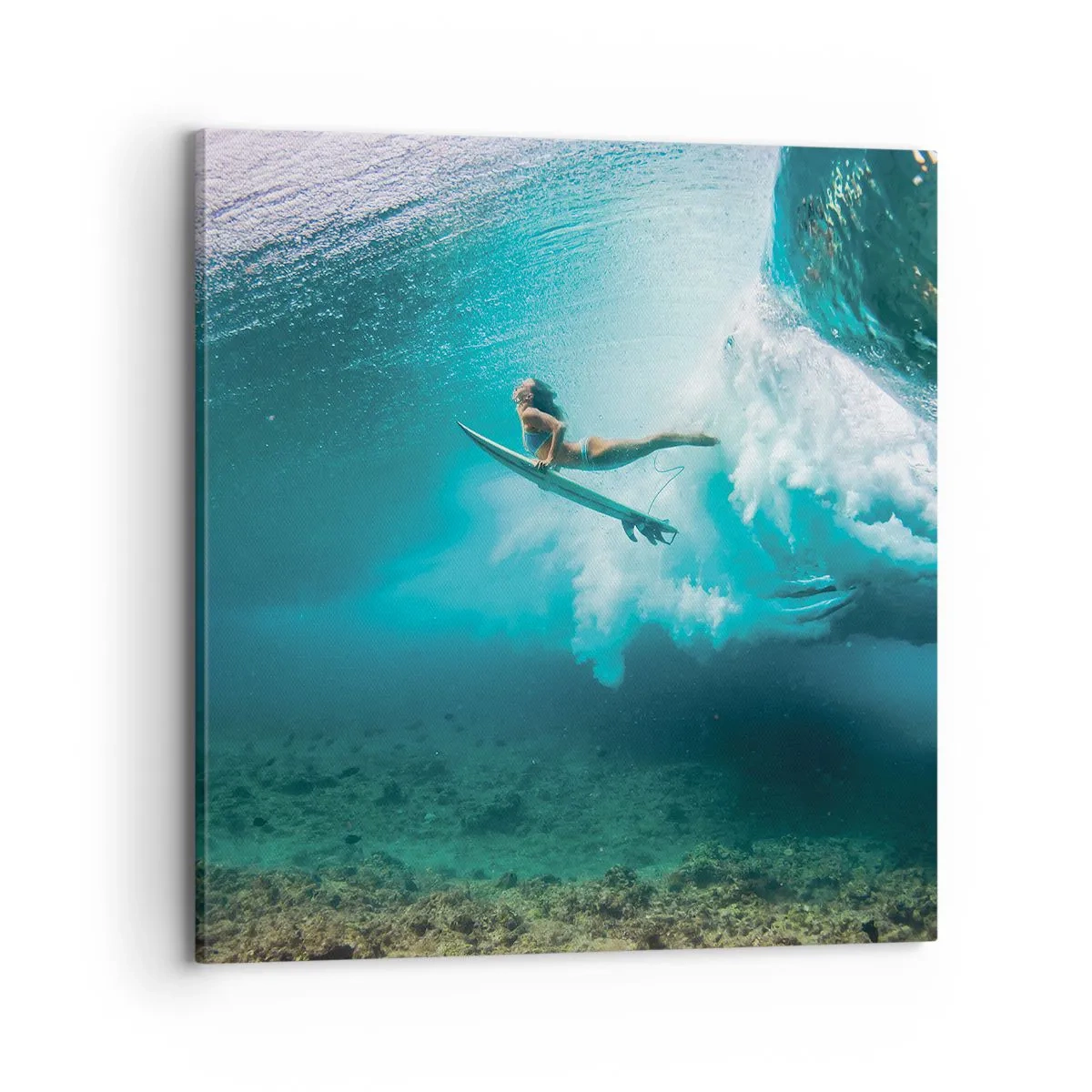 Bild auf Leinwand - Leinwandbild - Unterwasserwelt - 70x70 cm