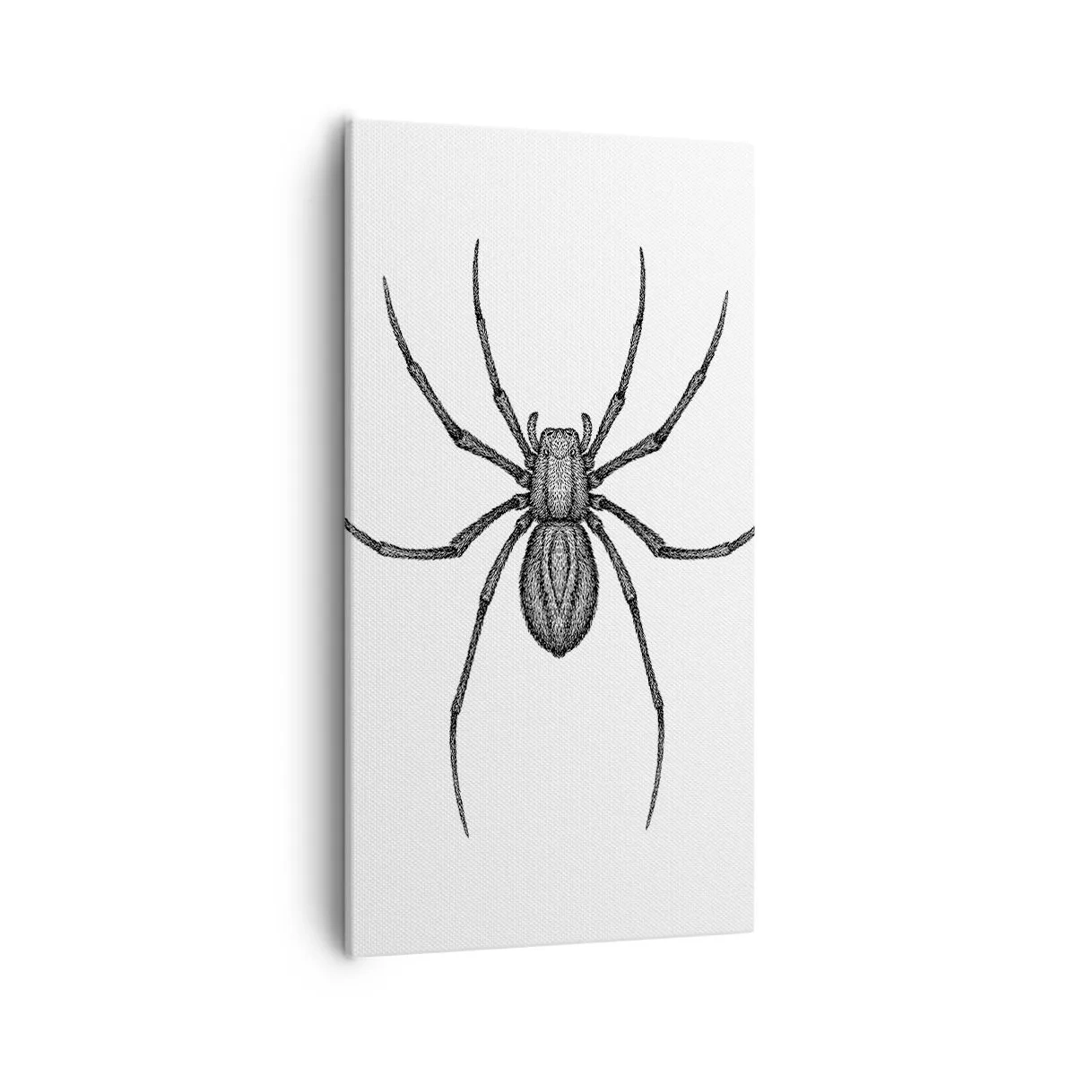 Bild auf Leinwand - Leinwandbild - Beunruhigende Präzision - 55x100 cm