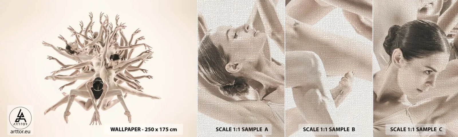 Fototapeten Muster Premium Canvas - Aufblühen im Tanz - Abstraktion, Stück, Ballett - 100x30 cm