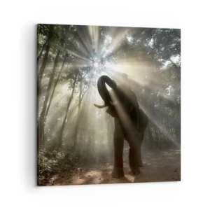 Bild auf Leinwand - Leinwandbild - Unter dem Glücksstern - 50x50 cm