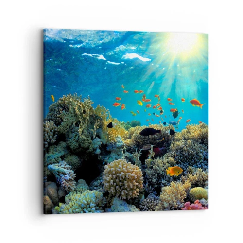 Bild auf Leinwand - Leinwandbild - Unterwasserschätze - 70x70 cm