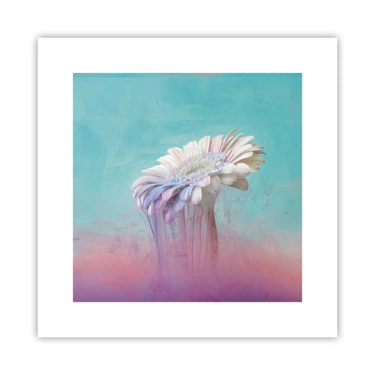 Poster - Blumenunterwelt - 30x30 cm
