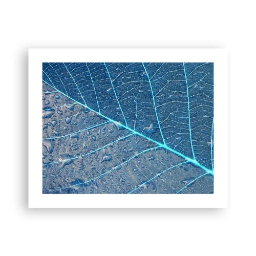 Poster - Leben in Blau - 50x40 cm