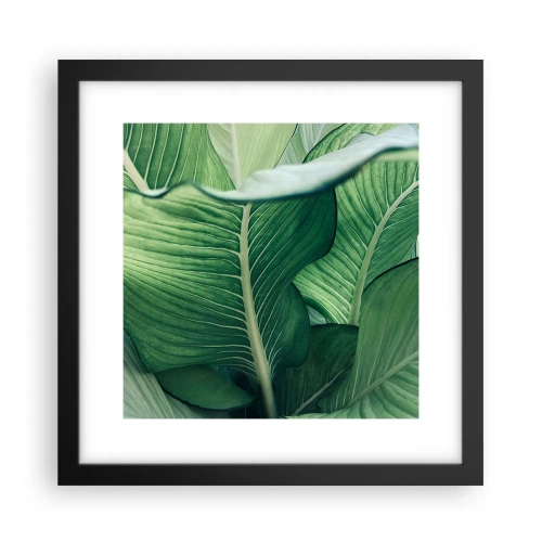 Poster in einem schwarzem Rahmen - Intensiv grünes Leben - 30x30 cm