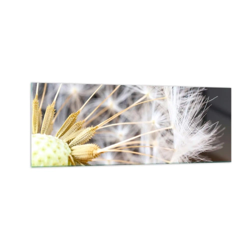 Glasbild - Bild auf glas - Makrofotografie eines Löwenzahns mit zarten Samen - 140x50cm - Kurz vor dem Abflug - Moderne Wanddekoration für Wohnzimmer und Schlafzimmer ARTTOR