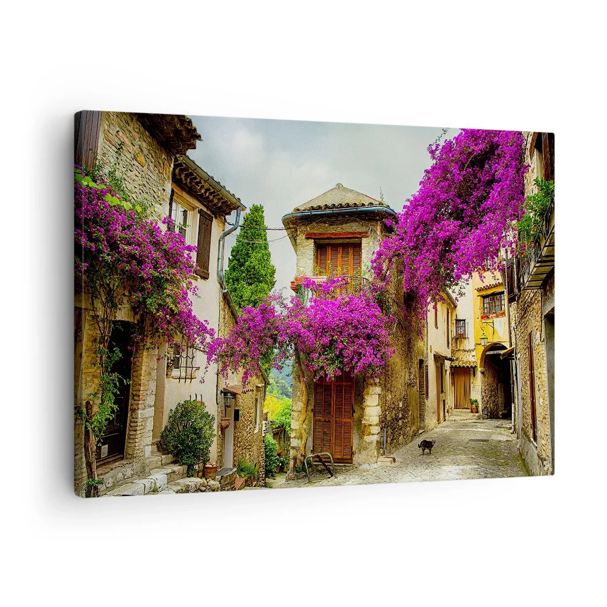 Bild auf Leinwand - Leinwandbild - Eine Steinstraße mit rosa Blumen und Häusern - 70x50cm - Unter einem Blumendach - Moderne Wanddekoration für Wohnzimmer und Schlafzimmer ARTTOR