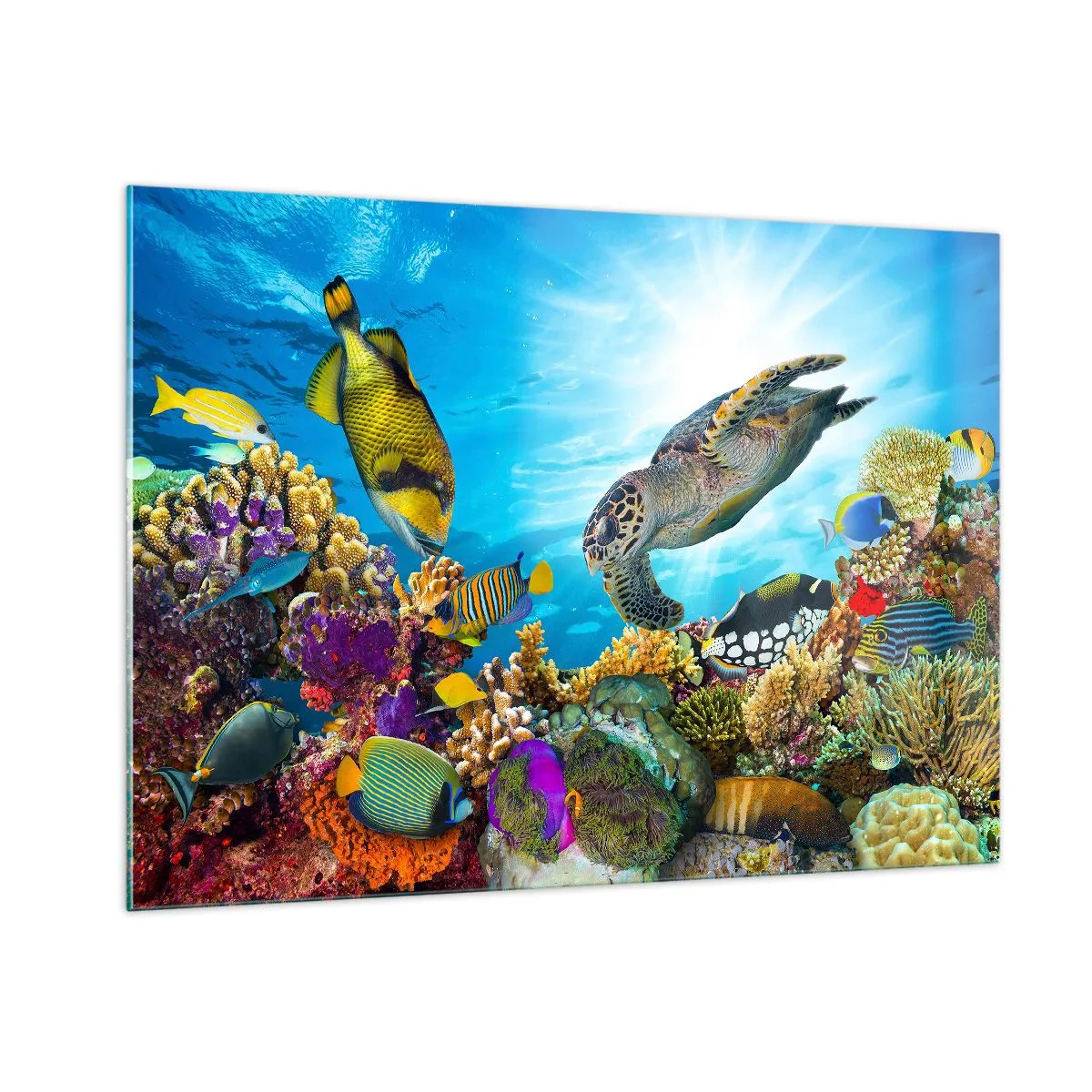 Glasbild - Bild auf glas - Unterwasserszene mit Schildkröten, Fischen und Korallen - 100x70cm - Korallenpromenade - Moderne Wanddekoration für Wohnzimmer und Schlafzimmer ARTTOR