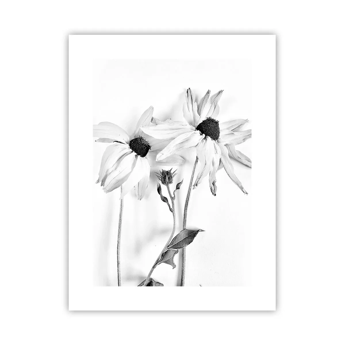 Poster - Niemand will allein sein - 30x40 cm