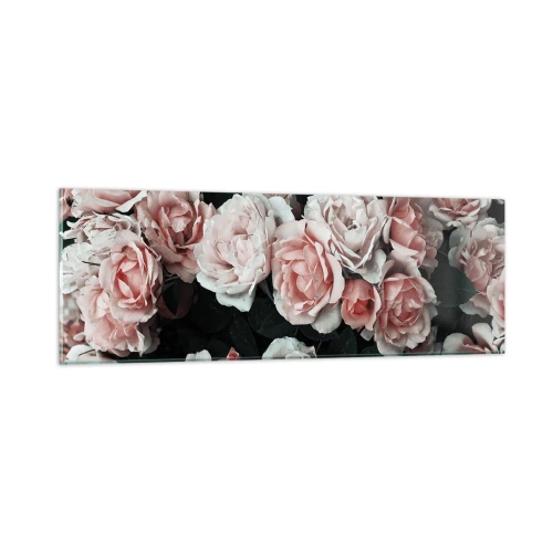 Glasbild - Bild auf glas - Rosen-Ensemble - 90x30 cm