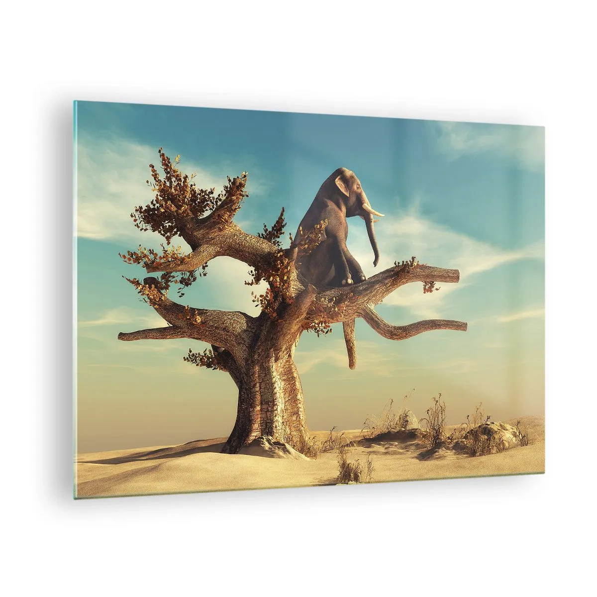 Glasbild - Bild auf glas - Ein Elefant sitzt auf einem Baum vor einem Wüstenhintergrund - 70x50cm - Ein neuer Standpunkt - Moderne Wanddekoration für Wohnzimmer und Schlafzimmer ARTTOR