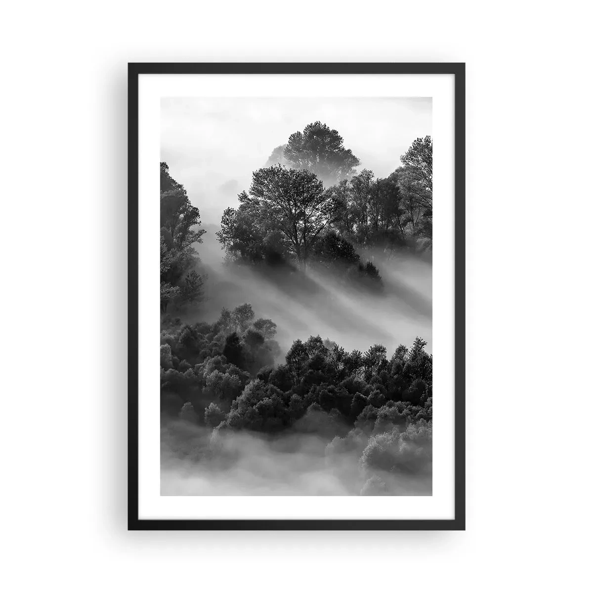 Poster in einem schwarzem Rahmen - Nebliger Wald in Schwarz-Weiß-Tönen - 50x70cm - Aufstehend aus dem Schlaf - Moderne Wanddekoration für Wohnzimmer und Schlafzimmer ARTTOR