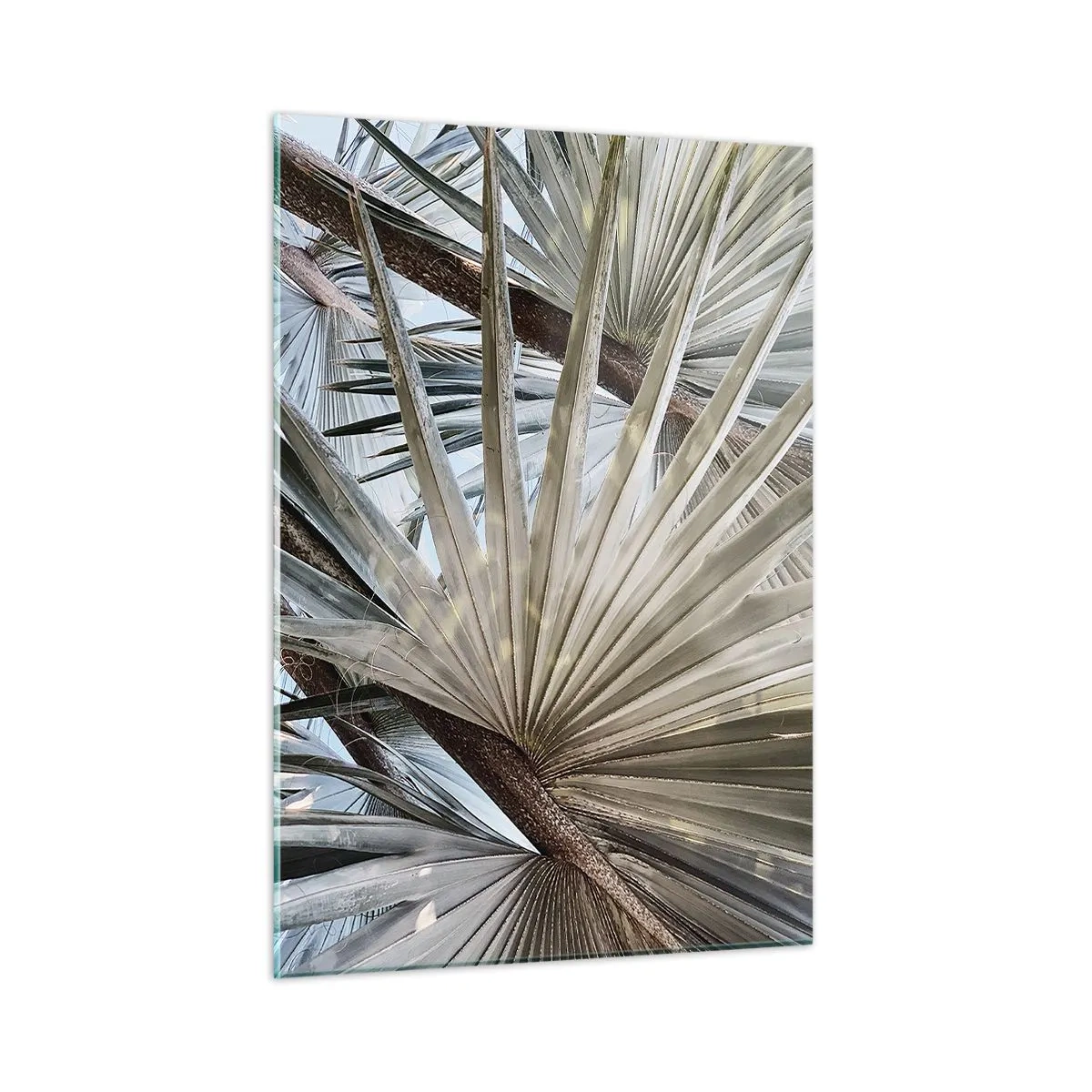 Glasbild - Bild auf glas - Palmblätter im hellen Tageslicht - 50x70cm - Fans in den Tropen - Moderne Wanddekoration für Wohnzimmer und Schlafzimmer ARTTOR