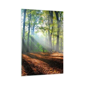 Glasbild - Bild auf glas - Ein Wald in den Strahlen der Sonne in einer Herbstlandschaft - 50x70cm - Licht und Schatten - Moderne Wanddekoration für Wohnzimmer und Schlafzimmer ARTTOR
