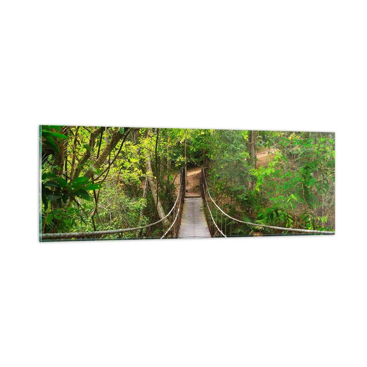 Glasbild - Bild auf glas - Denn im Garten gibt es eine Schlingpflanze - 90x30 cm