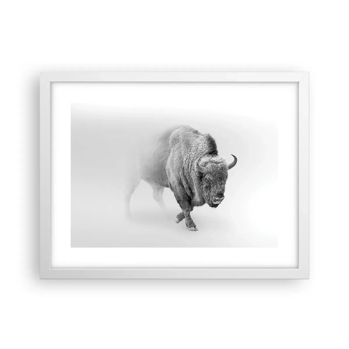 Poster in einem weißen Rahmen - König der Prärie - 40x30 cm