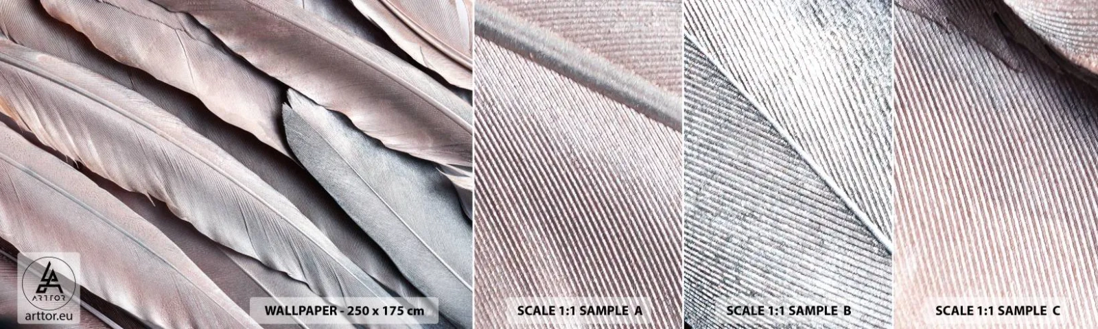 Fototapetenmuster Standard Eco - In rosa Silber - Vogelfeder, Grafik, Boho - 100x30 cm