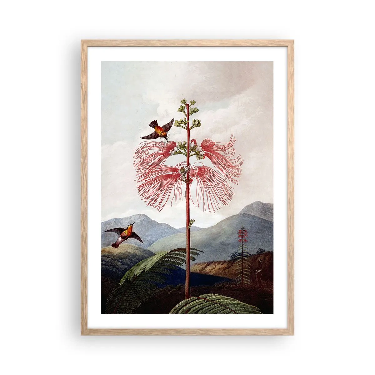 Poster in einem Rahmen aus heller Eiche - In einem tropischen Paradies - 50x70 cm