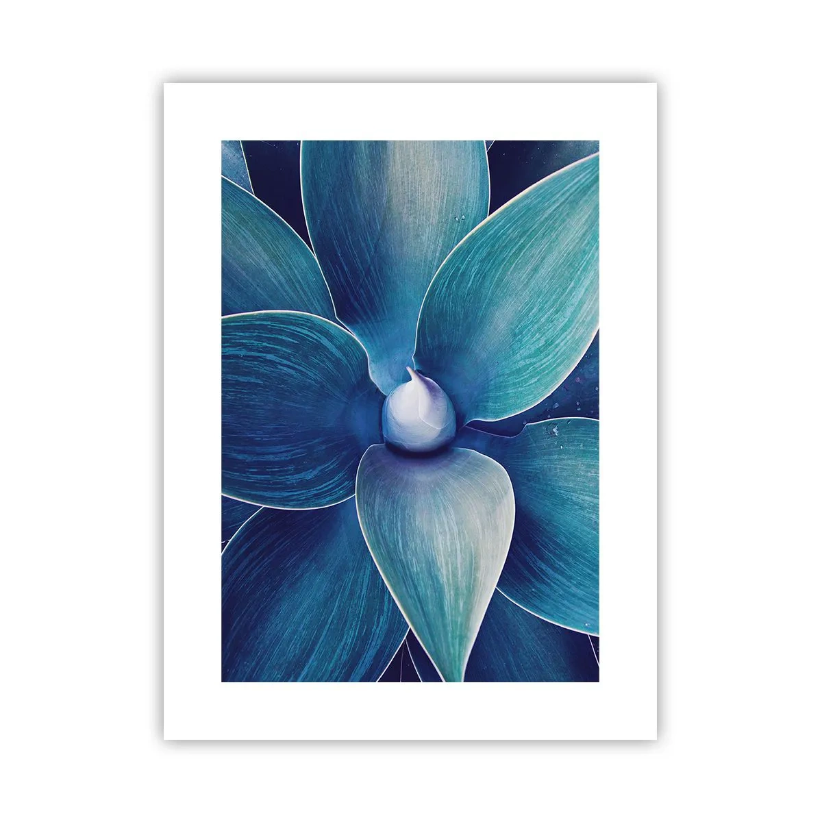 Poster - Bläulich vom Himmel - 30x40 cm