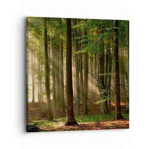 Bild auf Leinwand - Leinwandbild - Strahlend an einem Frühlingsmorgen - 30x30 cm