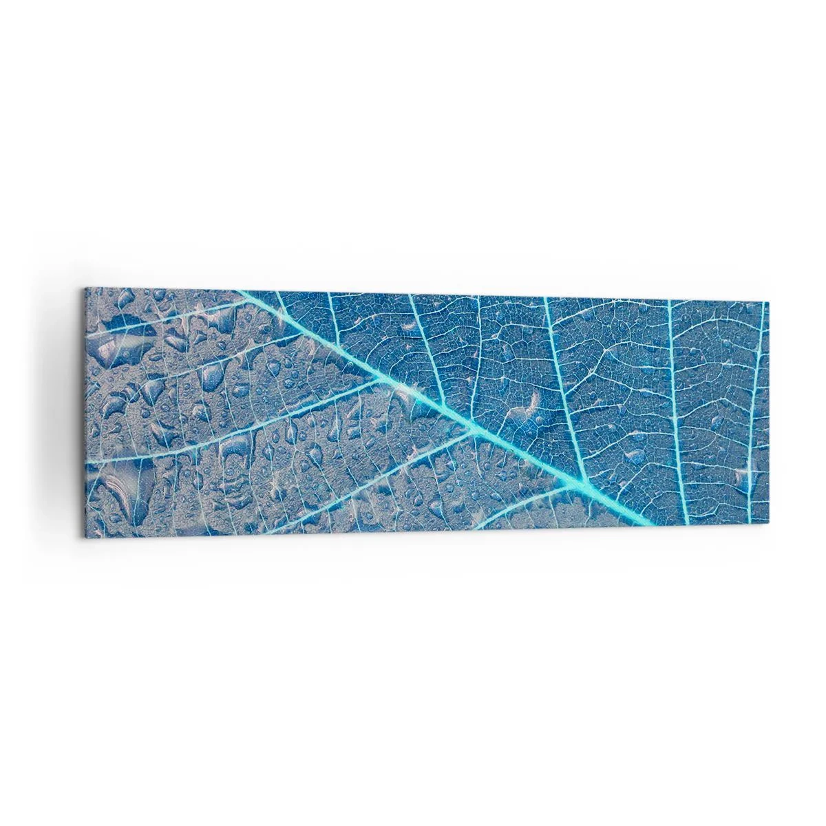 Bild auf Leinwand - Leinwandbild - Ein Blatt in Blautönen mit Wassertropfen - 160x50cm - Leben in Blau - Moderne Wanddekoration für Wohnzimmer und Schlafzimmer ARTTOR