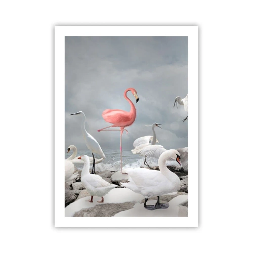 Poster - Ein rosa Flamingo, umgeben von weißen Vögeln vor dem Himmel - 50x70cm - Wie kam ich hier hin? - Moderne Wanddekoration für Wohnzimmer und Schlafzimmer ARTTOR
