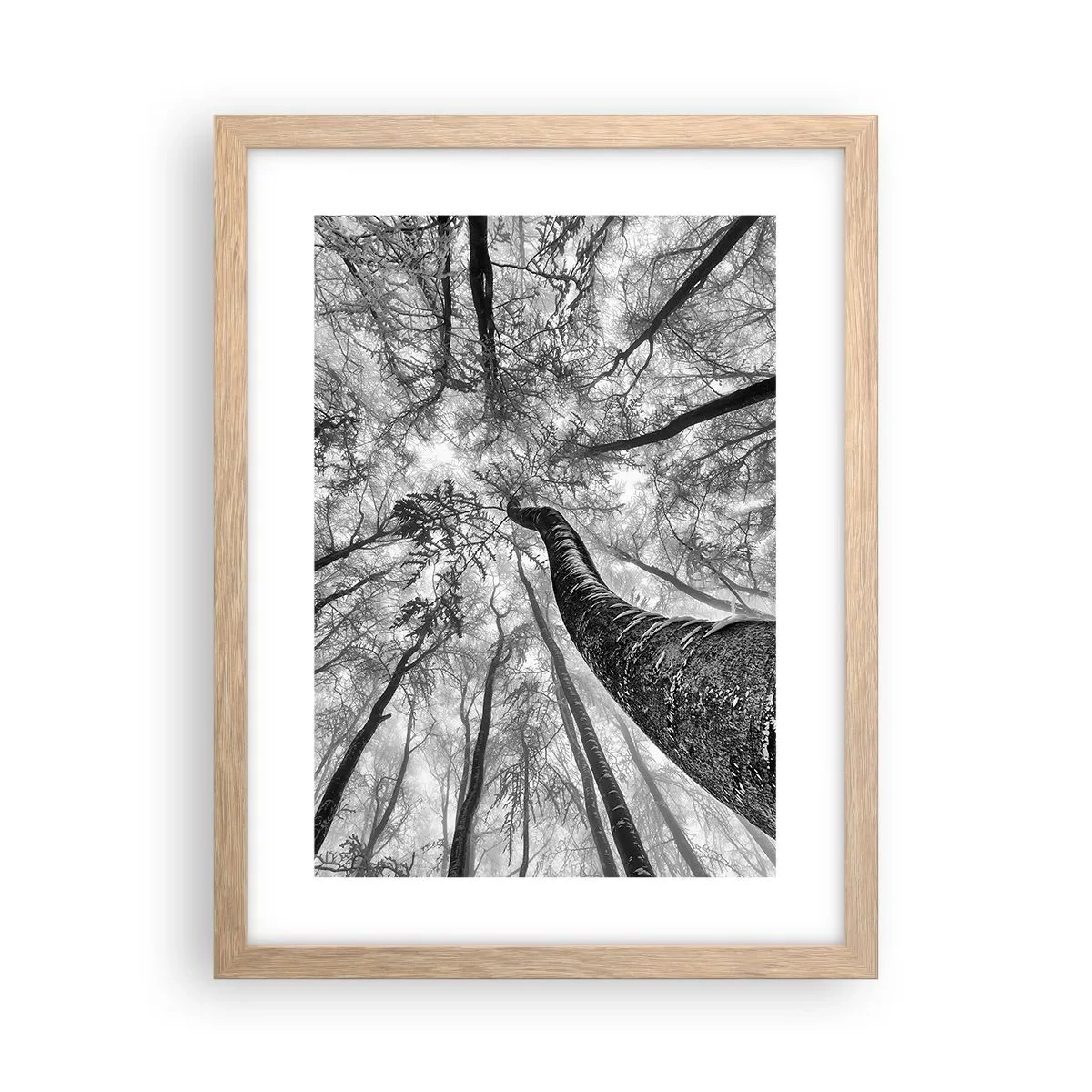 Poster in einem Rahmen aus heller Eiche - Rennen zum Licht - 30x40 cm