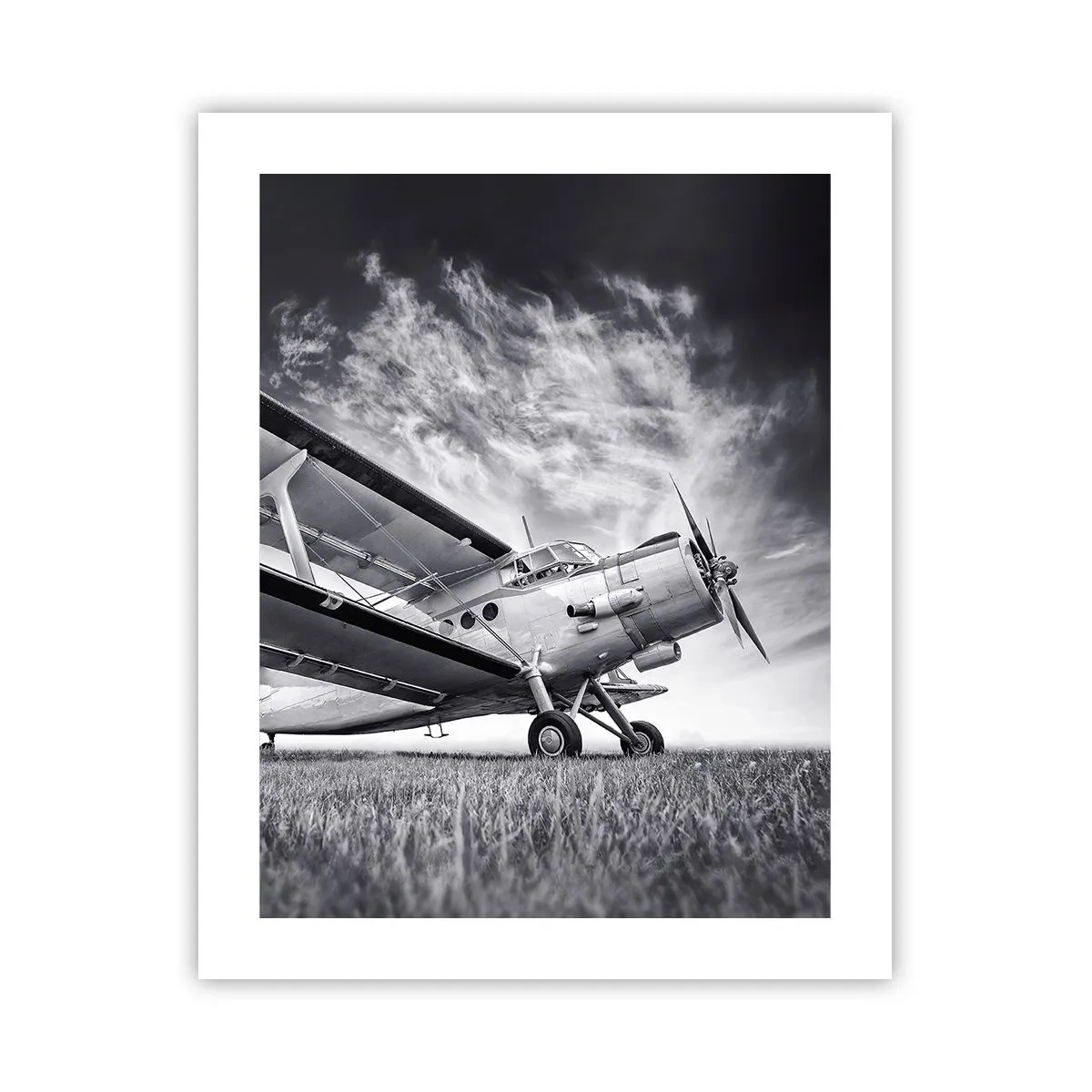 Poster - Der geflügelte Wanderer - 40x50 cm