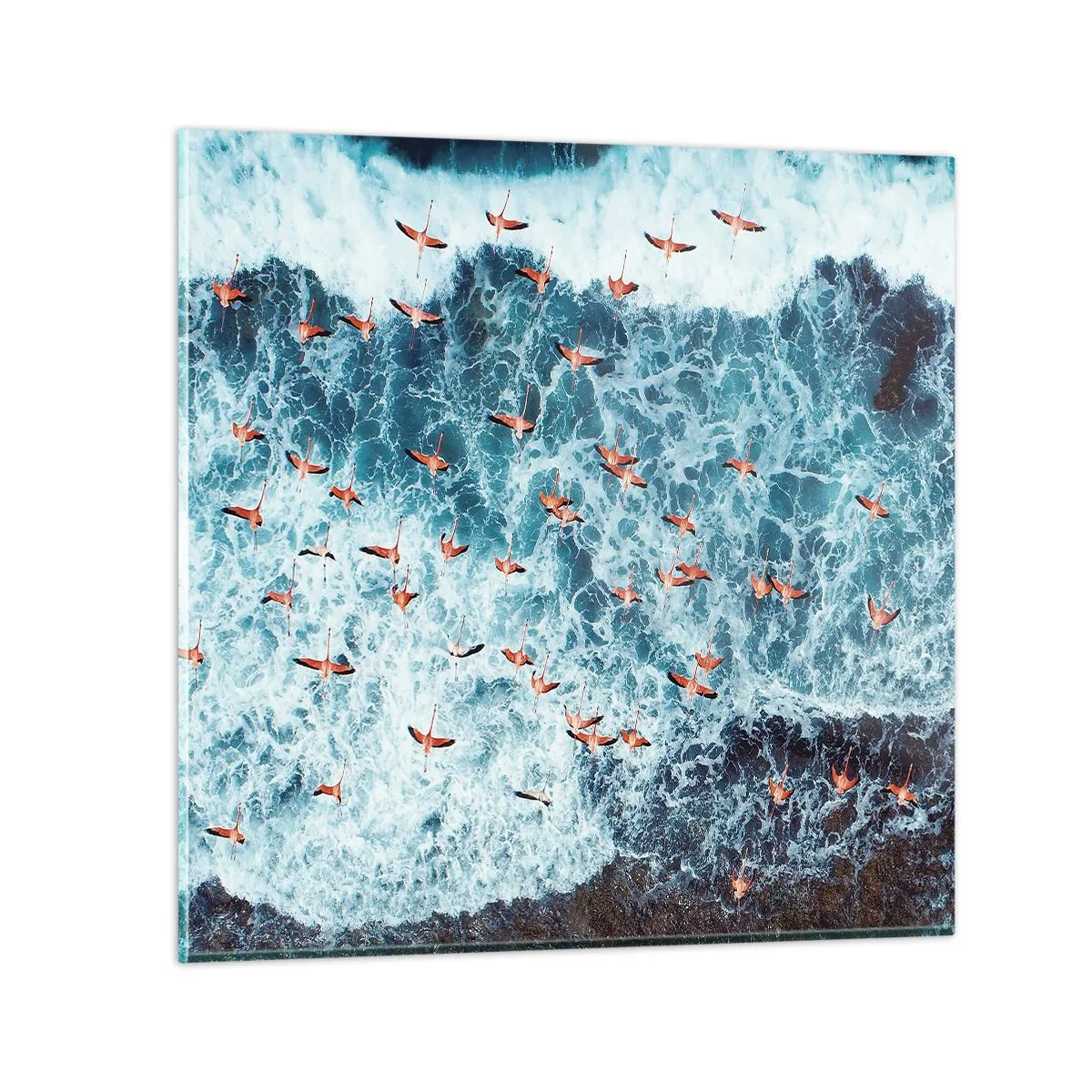 Glasbild - Bild auf glas - Die Küstenparade - 30x30 cm