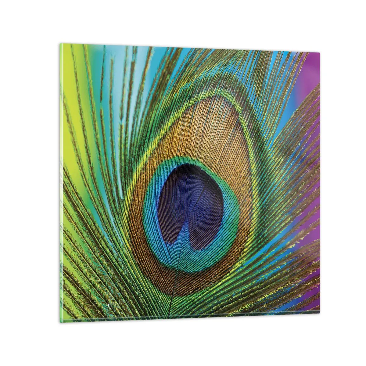 Glasbild - Bild auf glas - Auge in Auge - 70x70 cm