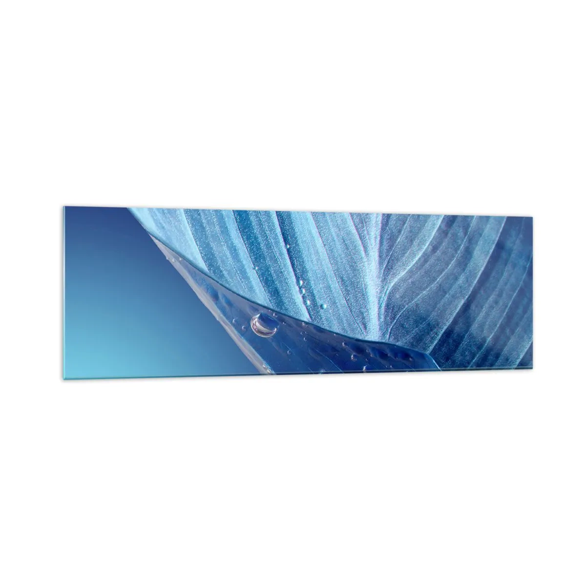 Glasbild - Bild auf glas - Ein blaues Blatt mit sichtbaren Wassertropfen - 160x50cm - Versteckte Tropfen vom Blau - Moderne Wanddekoration für Wohnzimmer und Schlafzimmer ARTTOR