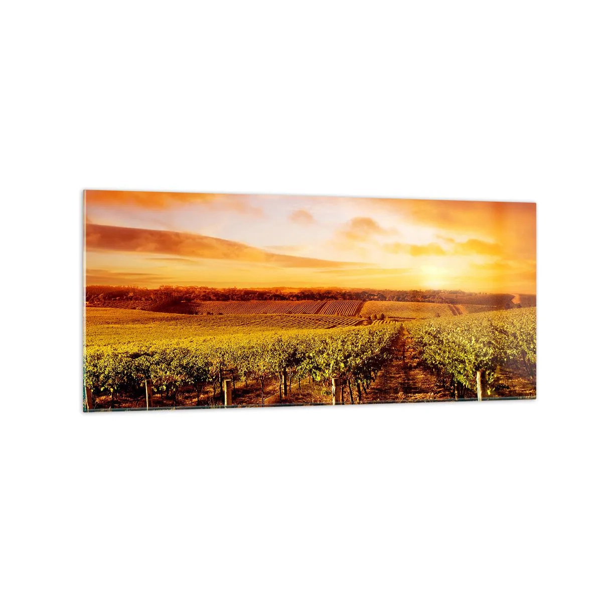Glasbild - Bild auf glas - Weinberg bei Sonnenuntergang mit warmen Himmelstönen - 120x50cm - Leicht fruchtig mit einem Hauch Sonnenschein - Moderne Wanddekoration für Wohnzimmer und Schlafzimmer ARTTOR