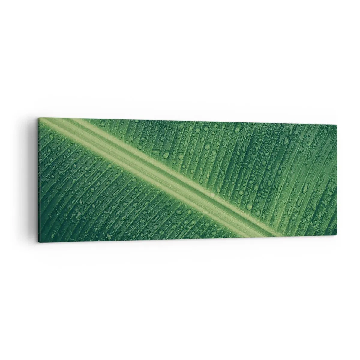 Bild auf Leinwand - Leinwandbild - Ein grünes Blatt mit Wassertropfen auf der Oberfläche - 140x50cm - Die Struktur des Grüns - Moderne Wanddekoration für Wohnzimmer und Schlafzimmer ARTTOR