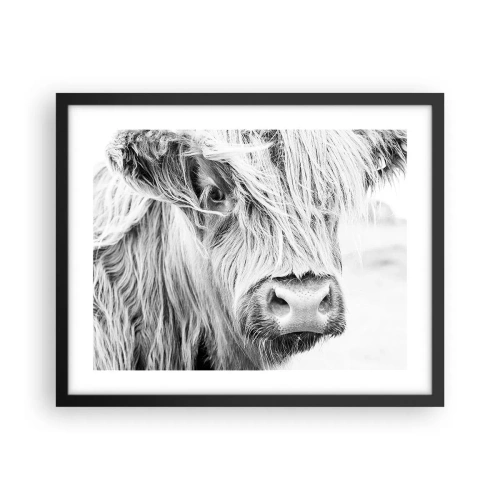 Poster in einem schwarzem Rahmen - Schottische Wildheit - 50x40 cm